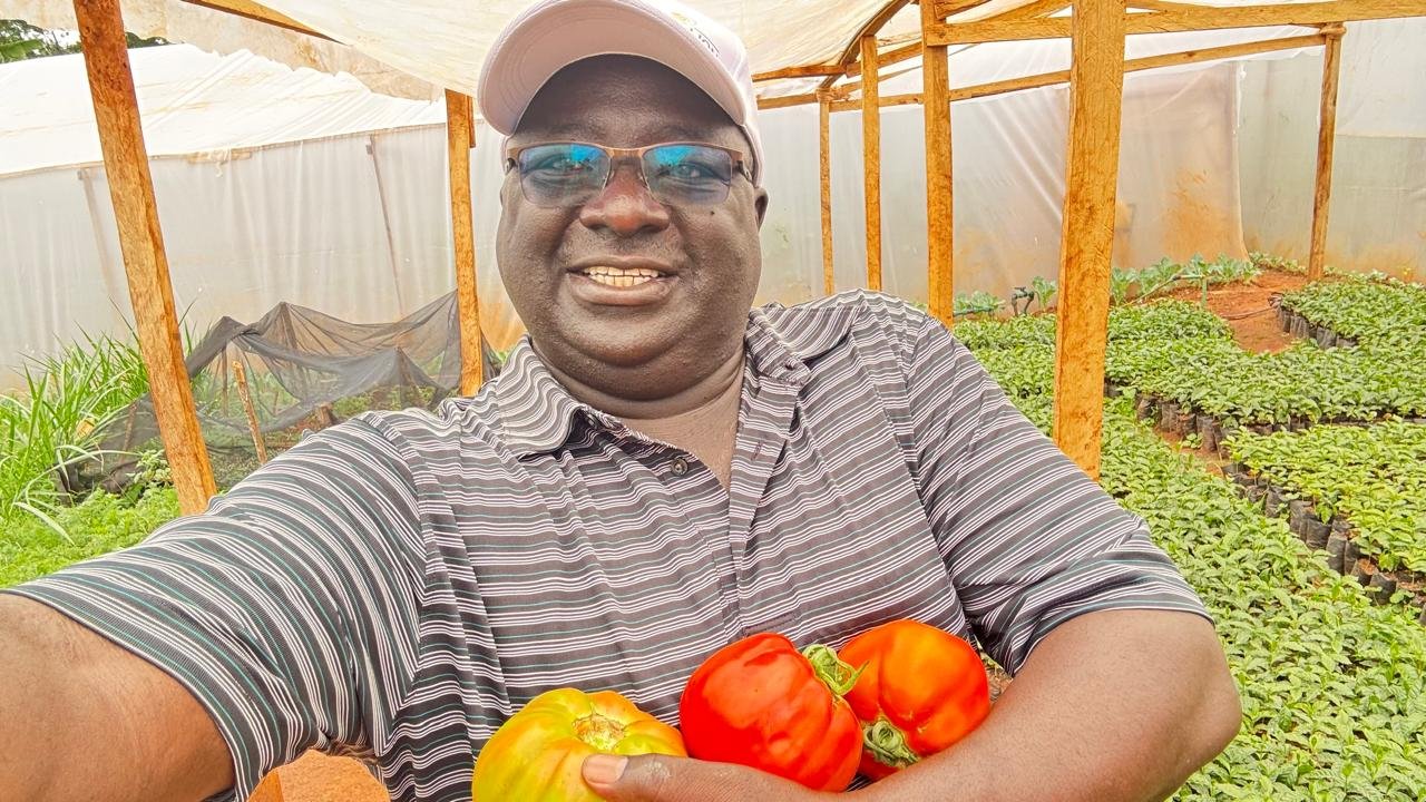ECAE farmers working in a greenhouse